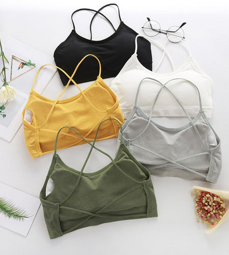 Sexy  Fitness Sports BraProduct Title: Sexy Fitness Sports Bra
Product URL: https://www.hitechglam.com/products/sexy-fitness-sports-bra
Description:
Looking for a little extra something to FitnessHi Tech Glam LtdSexy Fitness Sports Bra